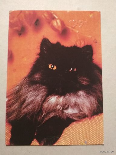 Карманный календарик. Котик. 1991 год