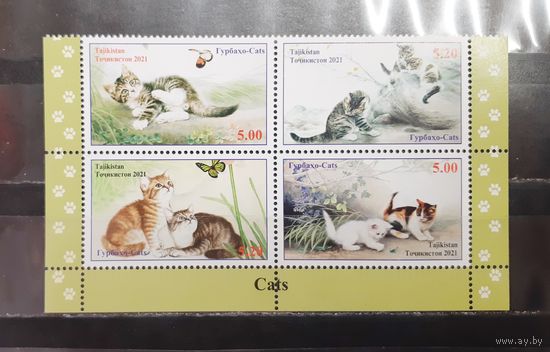 Таджикистан. 2021 год. Фауна. Кошки (1236)