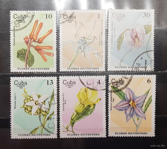 Куба. 1980 год. Флора. Цветы (1293)