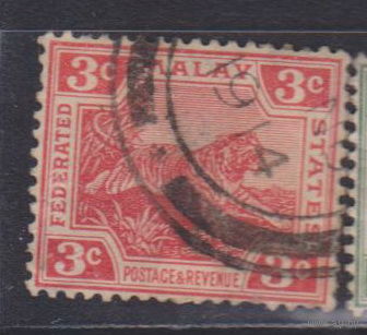 Тигр фауна Федерация Малайских государств 1906 год Лот 1