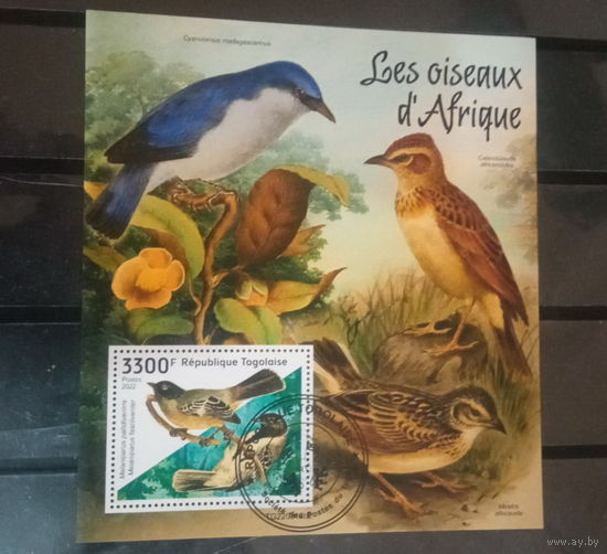 ЛИСТ ФАУНА ПТИЦЫ  СТО