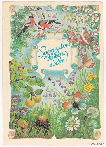 Открытка 1987 (228)