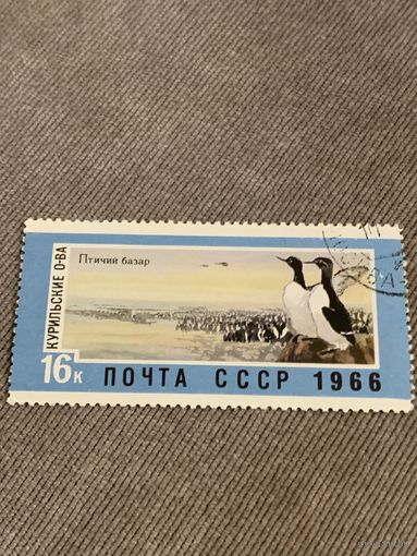 СССР 1966. Курильские острова. Птичий базар. Марка из серии