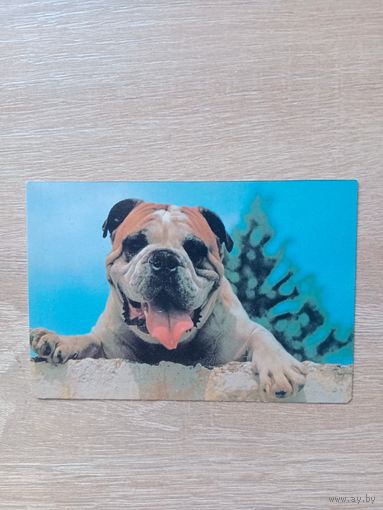 Календарик 1993