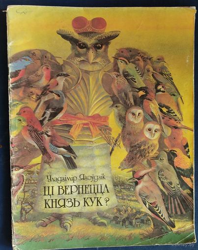 Ягоўдзік, У. Ці вернецца князь Кук? Мастак У.Вішнеўскі.