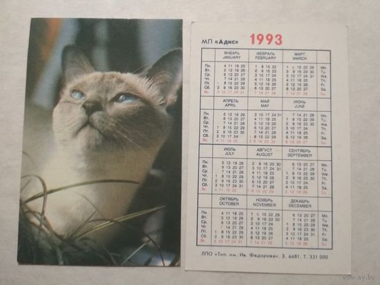 Карманный календарик. Котик.1993 год