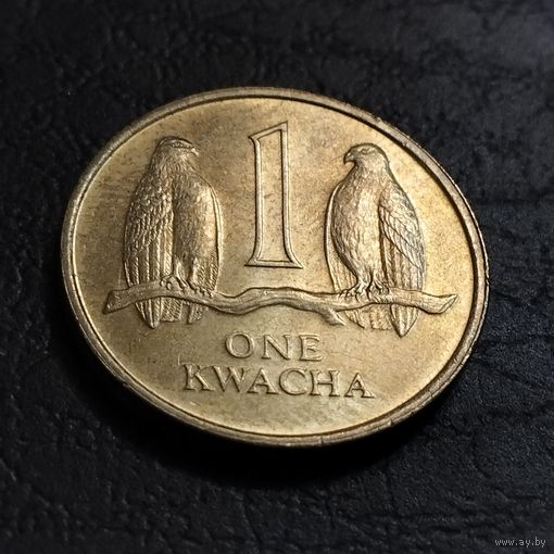 Замбия 1 квача 1992г.