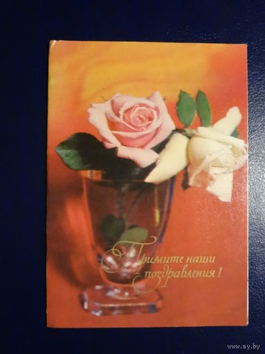 Примите наши поздравления! Розы в вазе. 1970 г. подписанная. двойная.