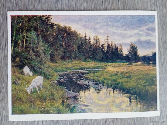 1955. Орлова. В аксаковских местах