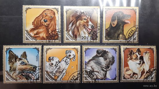 Монголия. 1984 год. Фауна. Собаки (587)