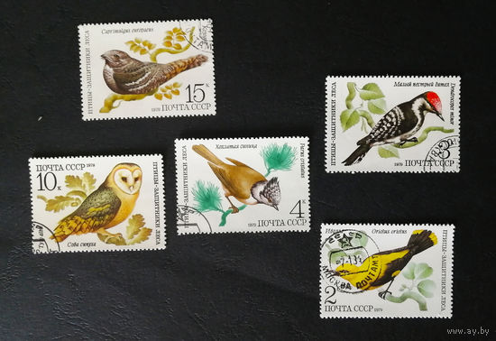 СССР 1979 г. Птицы - защитники леса. Фауна, полная серия из 5 марок #0165-Ф1P32
