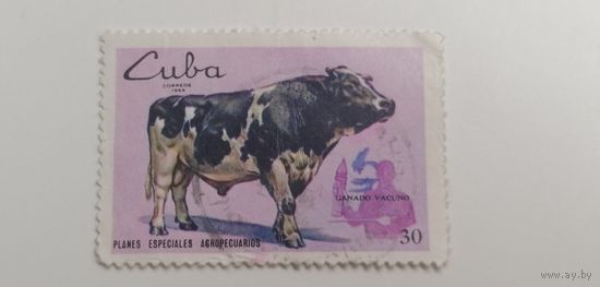 Куба 1969.  Сельское хозяйство и животноводство
