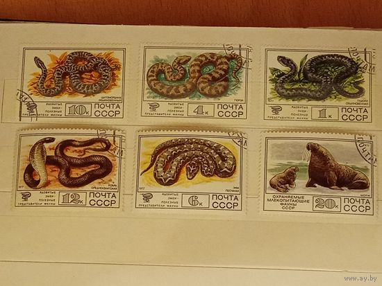 СССР 1977 Фауна. Охраняемые животные. 6 марок