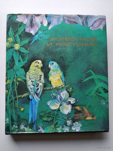 В.А. Радкевич  Животные и растения. Экологические очерки
