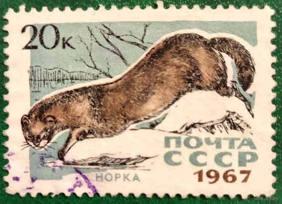 СССР 1967. Фауна. Норка. Марка из серии