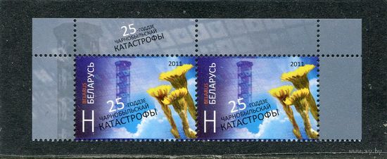 Беларусь 2011. 25 лет Чернобыльской катастрофы. Верхняя сцепка листа