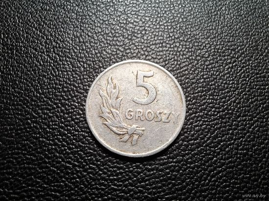 Польша 5 грошей 1949