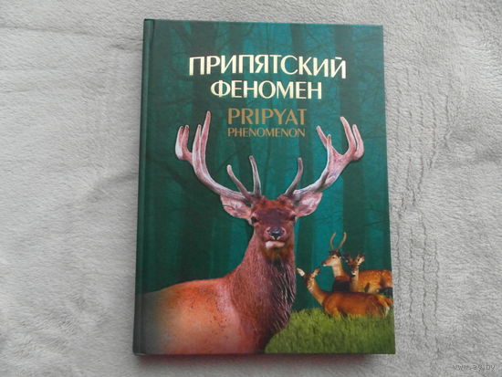 Фотоальбом. Припятский феномен.  (Гомельская область "Припятский заповедник"), Беларусь.  2009