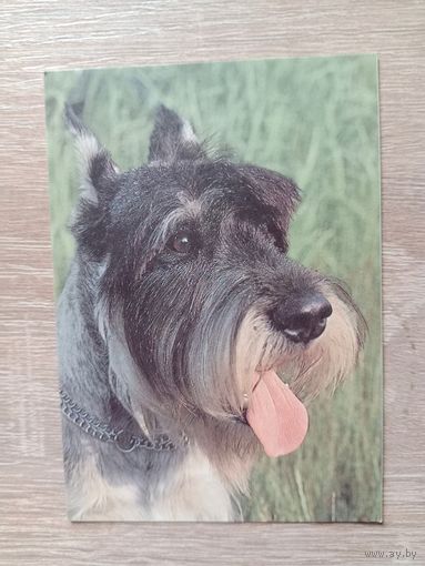 Календарик 1993