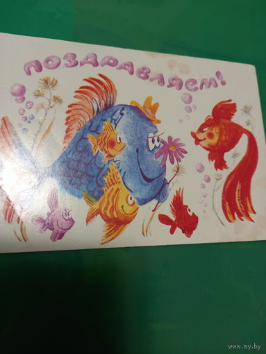Поздравляем!челак