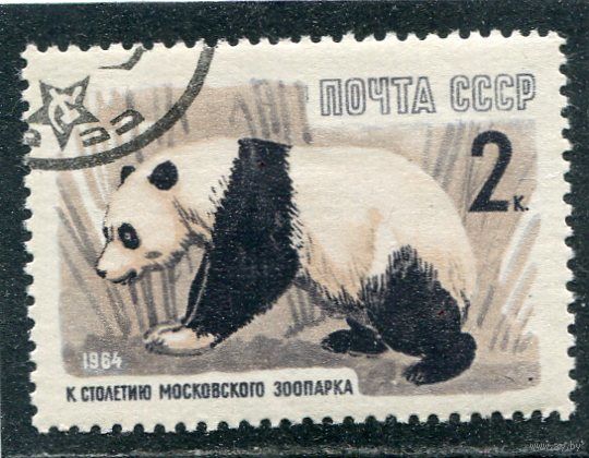 СССР 1964.. Бамбуковый медведь