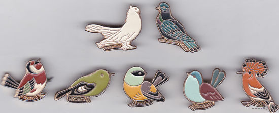 Птицы: чубатый голубь, сизый голубь, щегол, иволга, ремез, жулан и удод.