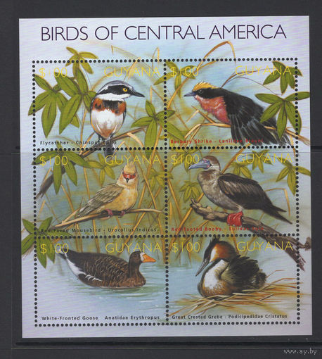 Гайана 2002** Птицы Центральной Америки Mi#7445-7450