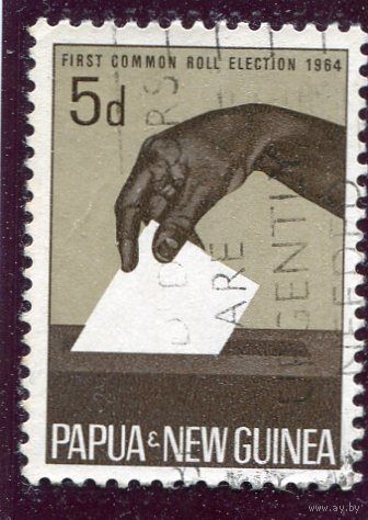 Папуа Новая Гвинея. Всеобщие выборы 1964 года