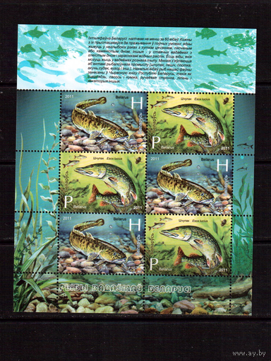Беларусь-2011,(Мих.870-871)  м/л Рыбы