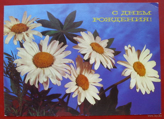 С днём рождения! Чистая. 1989 года. Круцко. 1489.