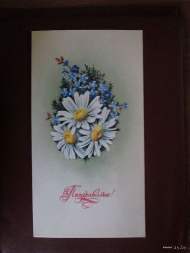 Почтовая карточка.СССР.1976г.Чистая.Высокая.