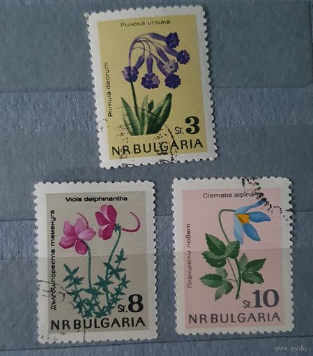 Болгария цветы 3шт