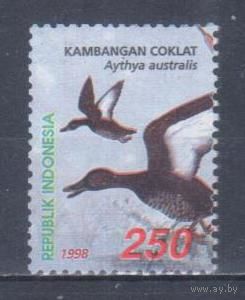 [260] Индонезия 1998. Фауна.Птицы.Утки. Гашеная марка.