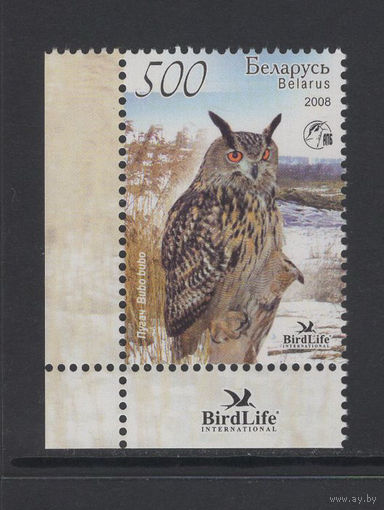 Фауна птицы Беларусь 2008 коллекционная марка "Филин"