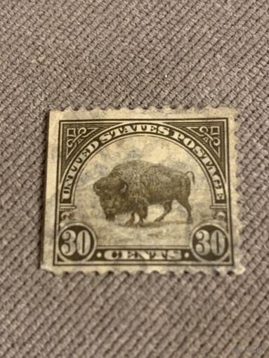 США 1924. Бизон