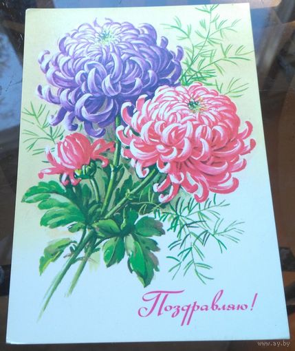 1982 год Г.Куртенко Поздравляю