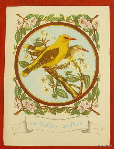 Поздравительная. Чистая. Минтис. 1060.