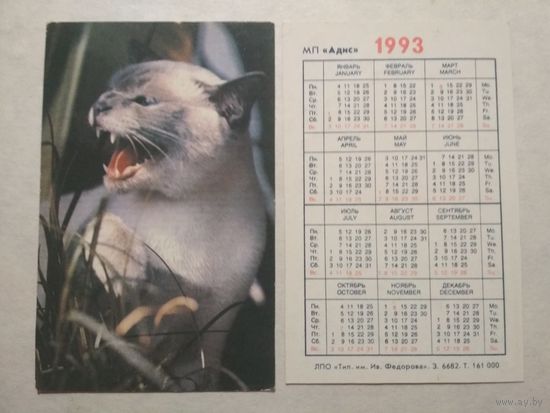 Карманный календарик. Котик.1993 год