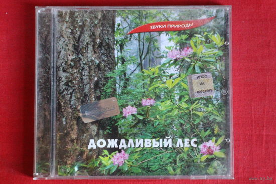 Птицы В Дождливом Лесу - Звуки Природы (2005, CD)