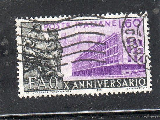 Италия. Mi:IT 950. 10 лет ФАО , организация ООН, борьба с голодом. 1955