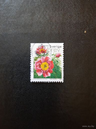 Швеция. Цветы. 2001г. гашеная