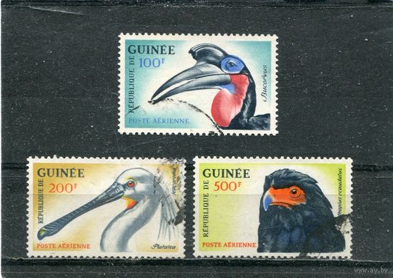 Гвинея. Фауна. Птицы. Авиапочта