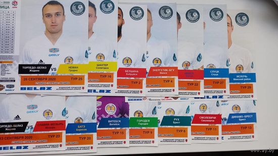 Торпедо Жодино Брест, Минск, Динамо, БАТЭ 2020 14 программ