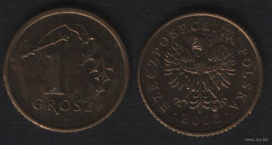 Польша y276 1 грош 2002 год (mw) (_alb2