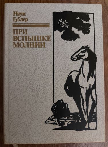 ПРИ ВСПЫШКЕ МОЛНИИ.  Наум Гублер