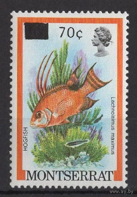Монтсеррат 1983** Морская фауна Рыбы