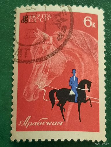 СССР 1968. Породы лошадей. Арабская. Марка из серии