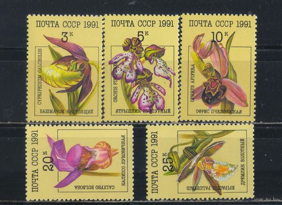 СССР 1991 Орхидеи Полная #6248-52**