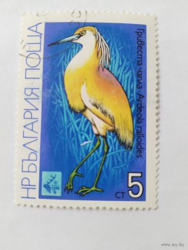 Болгария 1983