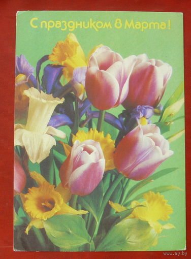 8 Марта! Чистая. 1988 года. Костенко. 1536.